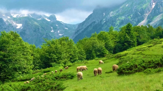 Highland, Mountain, Mountains, Landscape, Sky, Grass