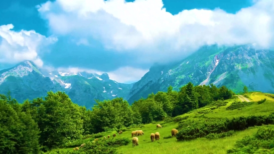 Highland, Mountain, Mountains, Landscape, Sky, Grass