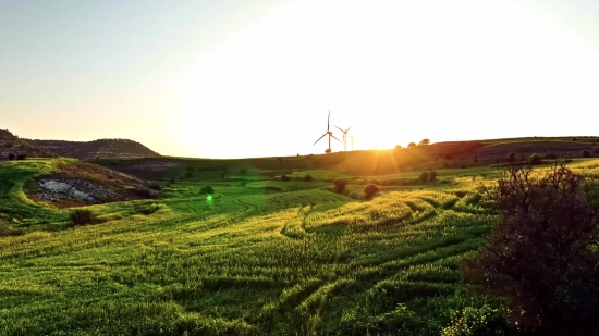 Highland, Rural, Field, Agriculture, Landscape, Farm