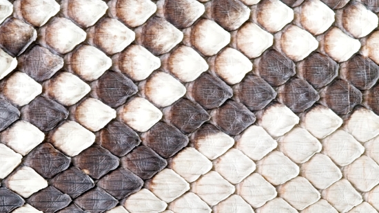 Honeycomb, Texture, Framework, Stone, Structure, Pattern