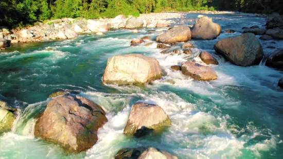 Ice Bear, Bear, Water, River, Rock, Stone