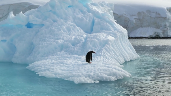 Iceberg, Glacier, Snow, Ice, Mountain, Landscape