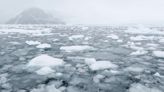 Iceberg, Ocean, Ice, Body Of Water, Water, Snow