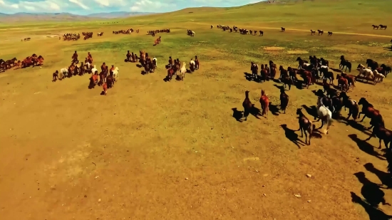 Ink Splatter Footage, Steppe, Plain, Land, Sand, Dune