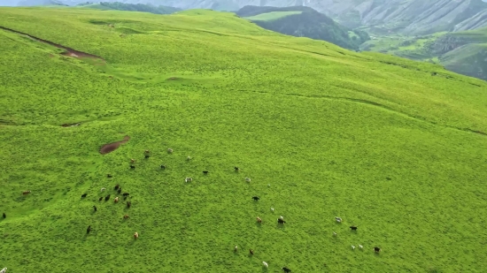 Knoll, Field, Grass, Landscape, Meadow, Rural