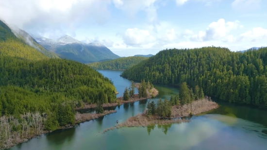 Lake, Forest, Landscape, River, Water, Mountain