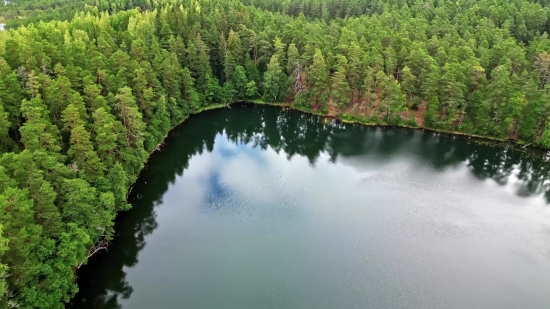 Lake, Forest, River, Body Of Water, Tree, Landscape