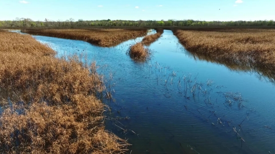 Lake, Landscape, River, Water, Channel, Body Of Water