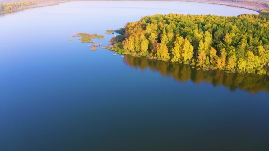 Lake, Landscape, Water, Tree, Forest, Sky