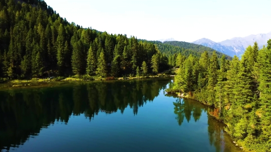 Lake, Reflection, Landscape, Tree, Forest, Water