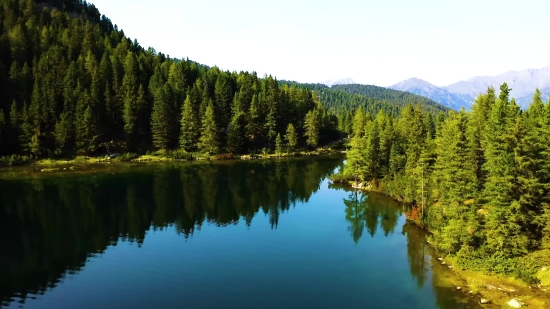 Lake, Reflection, Tree, Landscape, Forest, Water