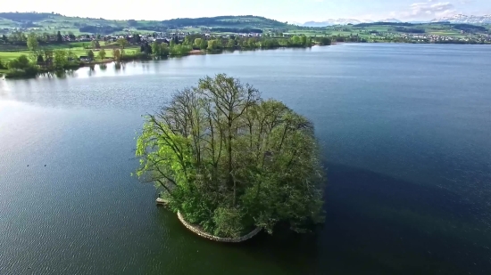 Lakeside, Shore, Lake, Water, Landscape, River