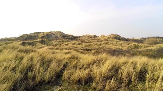 Landscape, Field, Sky, Grass, Highland, Land