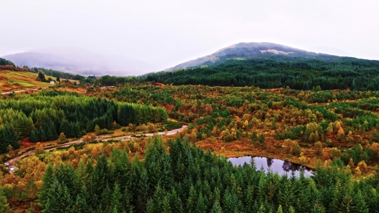 Landscape, Highland, Forest, Lake, Tree, River