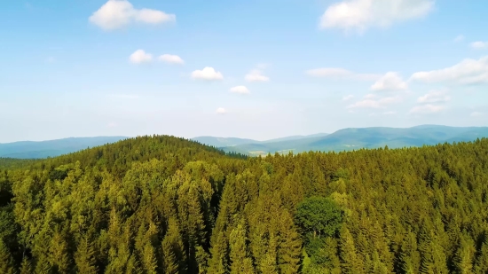 Landscape, Highland, Tree, Mountain, Forest, Sky