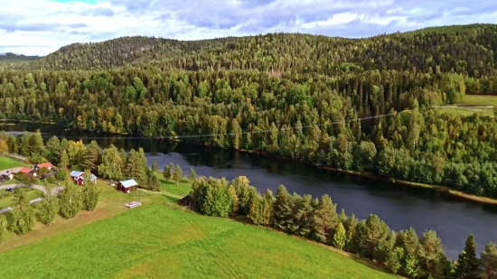 Landscape, Lake, Aquatic, Lakeside, Water, Forest