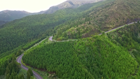 Landscape, Mountain, Highland, Tree, Sky, Mountains