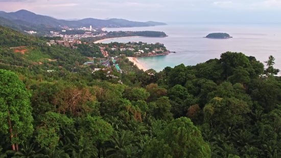 Landscape, Mountain, Sea, Coast, Water, Tree