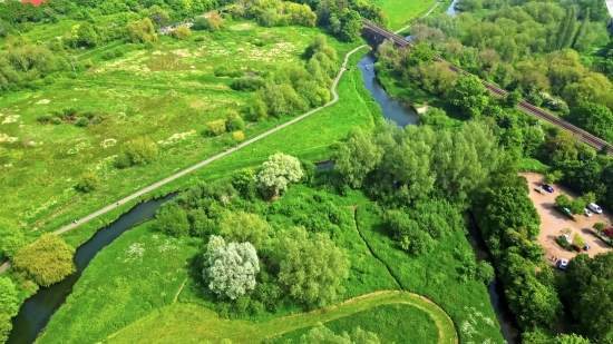 Landscape, Plant, Rural, Herb, Countryside, Vascular Plant