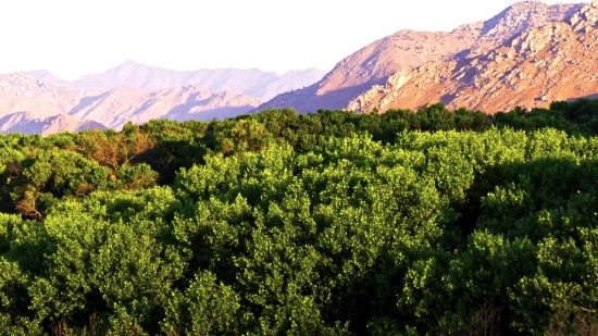 Landscape, Range, Highland, Mountain, Mountains, Tree