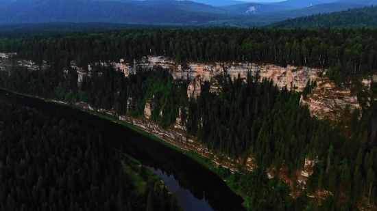 Landscape, Reed, Mountain, Range, Forest, Water