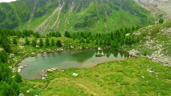 Landscape, River, Forest, Water, Aquatic, Tree