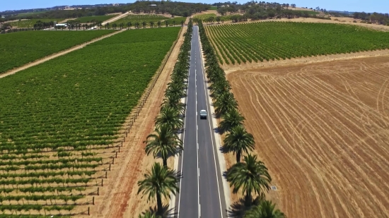 Landscape, Road, Rural, Sky, Track, Field