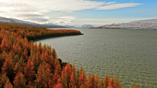 Landscape, Shore, Lake, Water, Lakeside, Sky