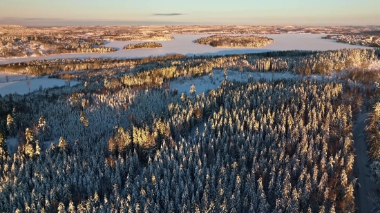 Landscape, Sky, Land, Tree, Water, Snow