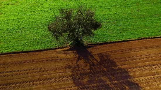 Landscape, Tree, Field, Grass, Sprinkler, Countryside