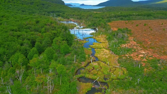 Landscape, Tree, Forest, Mountain, Mountains, Highland