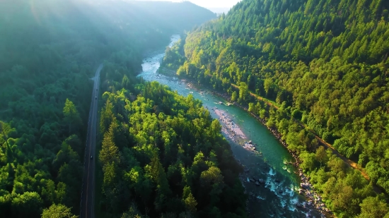 Landscape, Tree, Forest, Mountain, River, Coral Reef