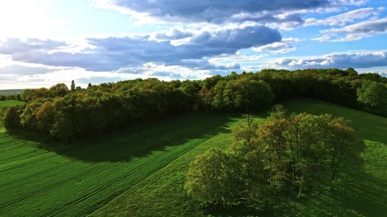 Landscape, Tree, Grass, Forest, Sky, Summer