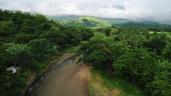 Landscape, Tree, Knoll, Mountain, Forest, Wilderness