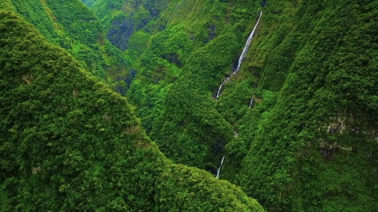 Landscape, Tree, Mountain, Forest, Mountains, Highland