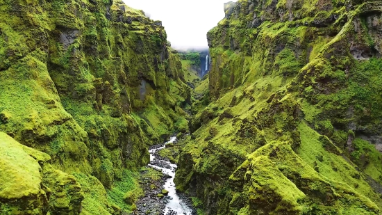 Landscape, Tree, Mountain, Forest, River, Cliff