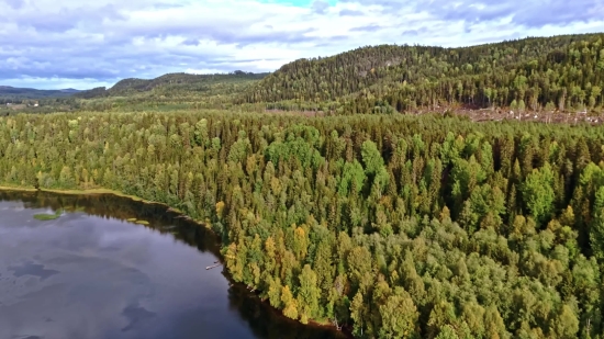 Landscape, Tree, Syrup, Forest, Lake, Sky