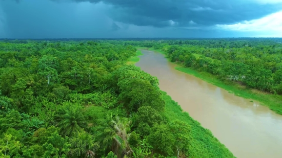 Landscape, Tree, Water, Sky, Summer, River