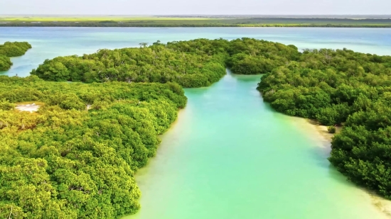 Landscape, Water, River, Tree, Summer, Sky