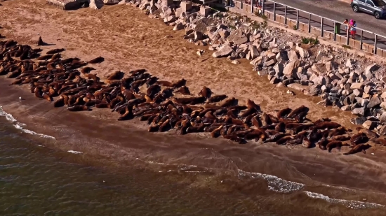 Landscape, Water, Rock, Chain, Barrier, Beach