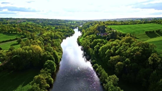 Landscape, Waterfall, River, Forest, Fossil, Water