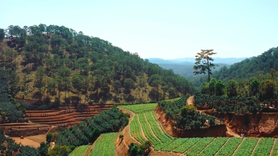 Mahadev No Copyright Video, Landscape, Highland, Valley, Tree, Mountain