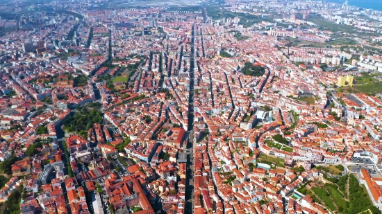 Map, Representation, Tree, Sky, City, Landscape