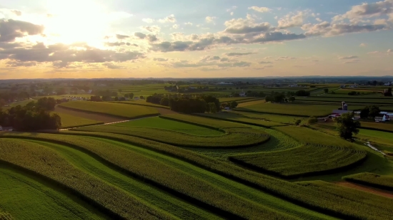 Maze, Landscape, Field, Rural, Agriculture, Grass