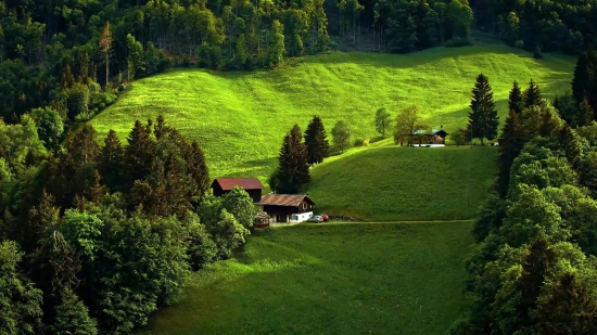 Maze, Landscape, Grass, Tree, Farm, Field