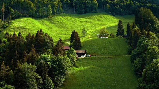 Maze, Landscape, Grass, Tree, Field, Rural