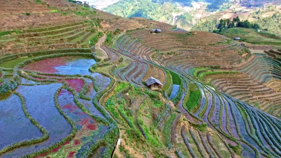 Maze, Landscape, Travel, Agriculture, Rural, Countryside