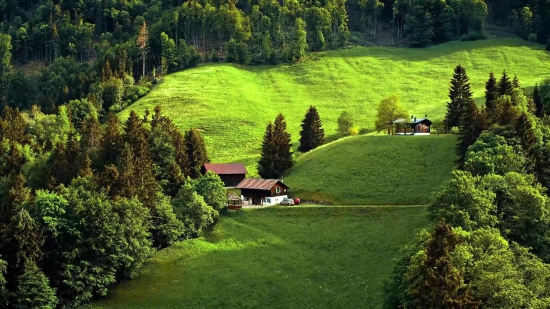 Maze, Landscape, Tree, Grass, Field, Rural