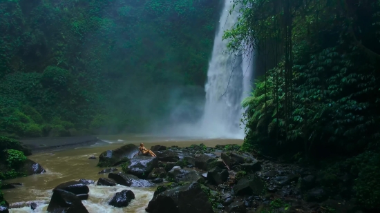 Motion Graphics, Waterfall, Spring, Hot Spring, River, Stream