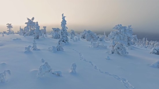 Mountain, Alp, Snow, Winter, Landscape, Ice